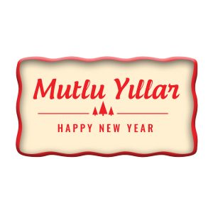 Yeni Yıl Yazı Plaka 313